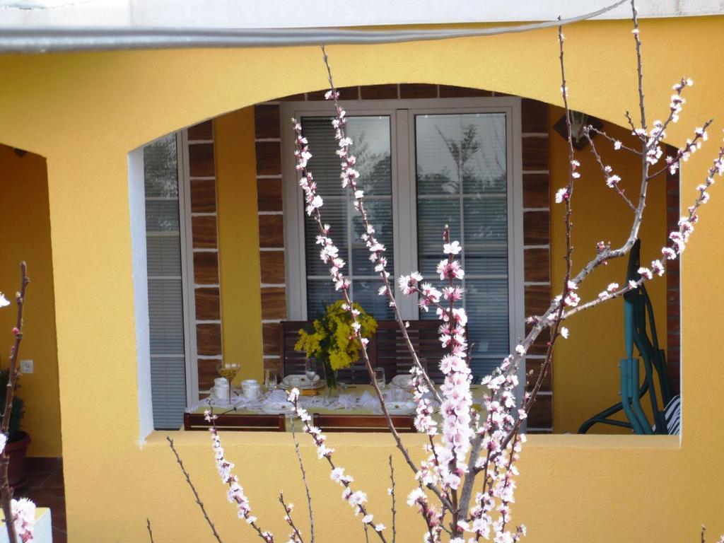 Apartments Brac Supetar Ruang foto